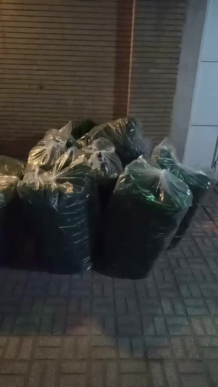 گرینوال شمشاددورنگ|گل مصنوعی|تهران, خواجه نصیر طوسی|دیوار