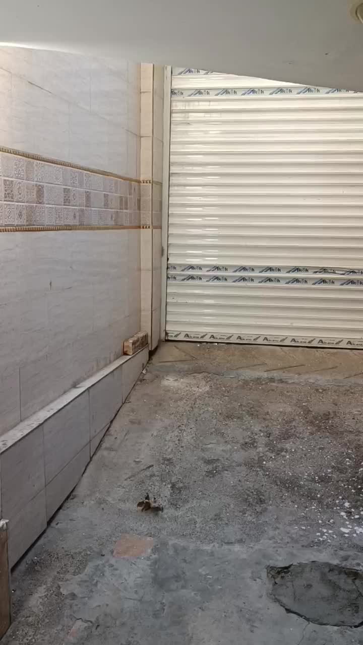 دفتر و سردخانه بالای صفر|اجارهٔ دفتر کار، اتاق اداری، مطب|مشهد, فدک|دیوار