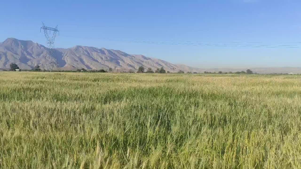 پهپاد سم پاش ۲۰ لیتری در حد نو بسیار کم کار|ماشینآلات صنعتی|شیراز, شهرک صنعتی شیراز|دیوار