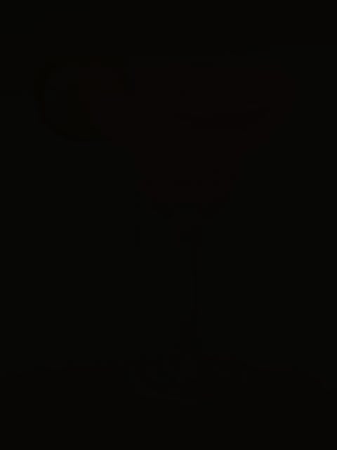 آموزش، و راه‌اندازی بار و کافه|خدمات آموزشی|گلستان (تهران), |دیوار