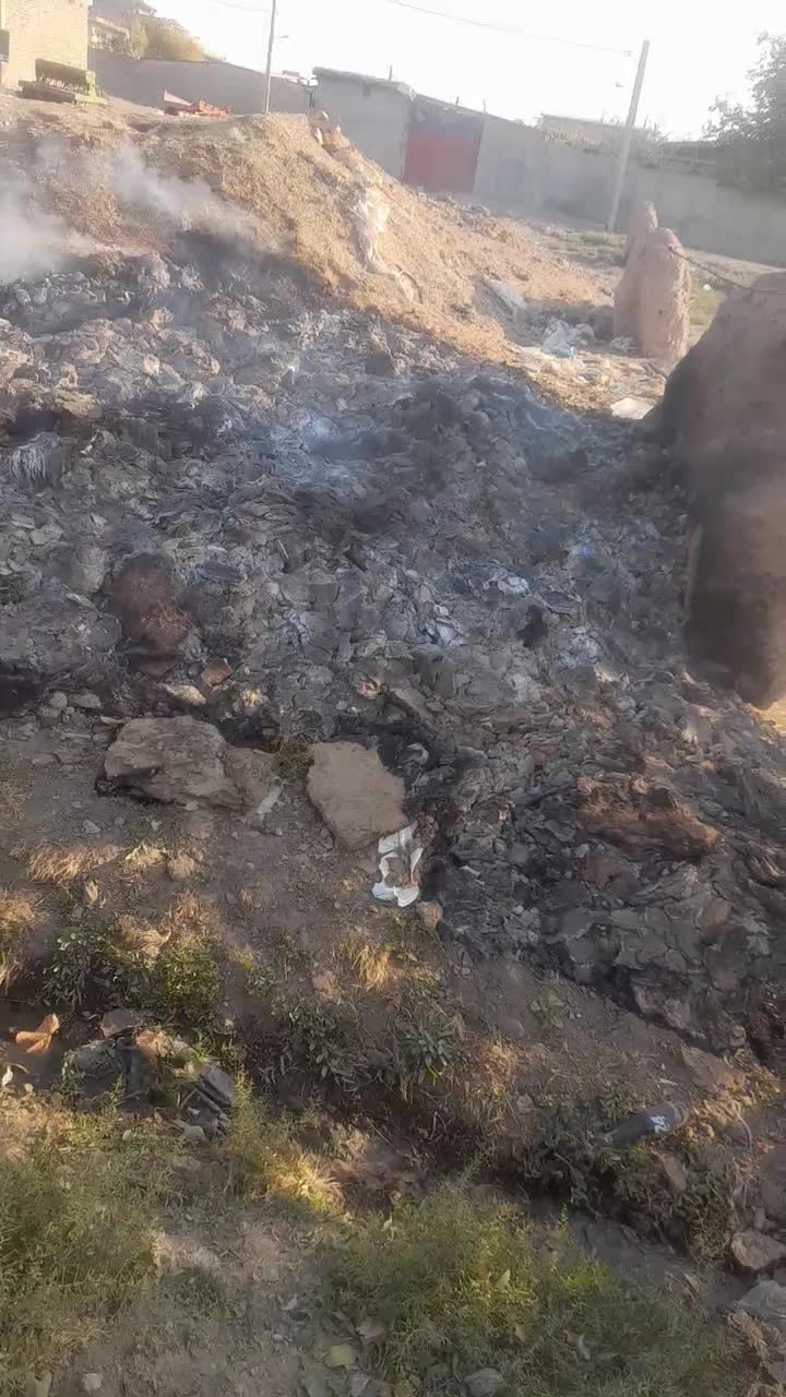 کود سوخته شده|خدمات باغبانی و درختکاری|محمدیه-قزوین, |دیوار