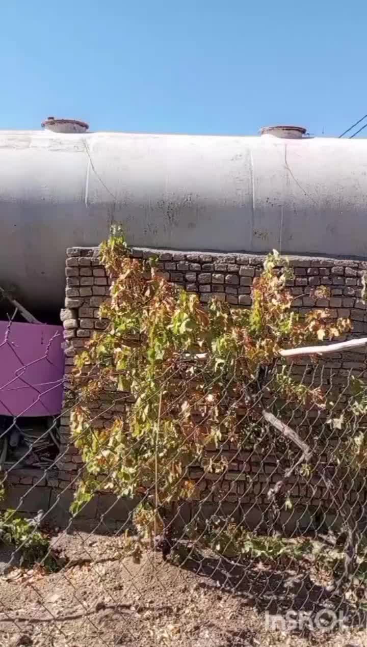 باغ یک قطعه انگور و میوه در قلعه فرهادخان|فروش زمین و ملک کلنگی|سنقر, |دیوار