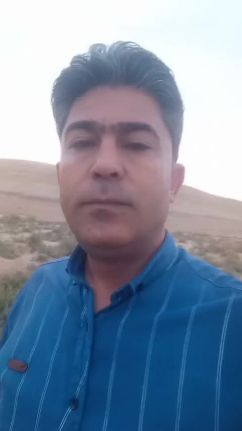 استخدام وانت تلفنی شیراز        سواری وانت کامیونت|استخدام حمل و نقل|شیراز, گلستان|دیوار