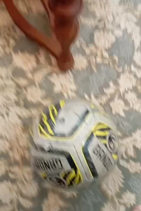 توپ|ورزشهای توپی|قدس, شهرک فرزان|دیوار