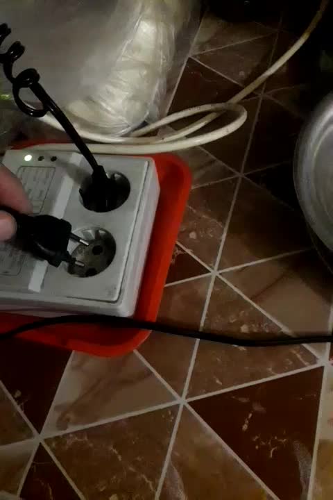 اکسیژن اکواریوم|ماهی|ری, جوانمرد قصاب|دیوار