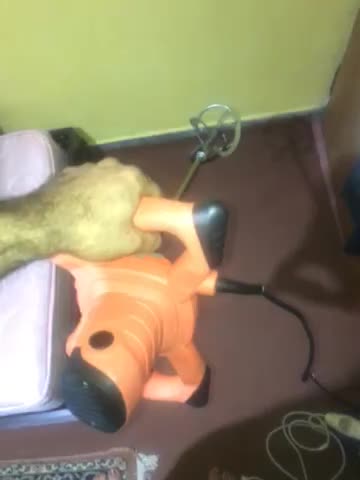 میکسر ایزی پاور|فروشگاه و مغازه|تنکابن, |دیوار