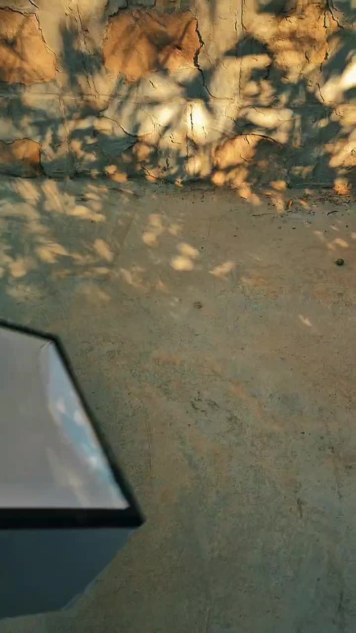 v2k high copy|کیف، کفش، کمربند|صدرا-فارس, فاز ۱|دیوار