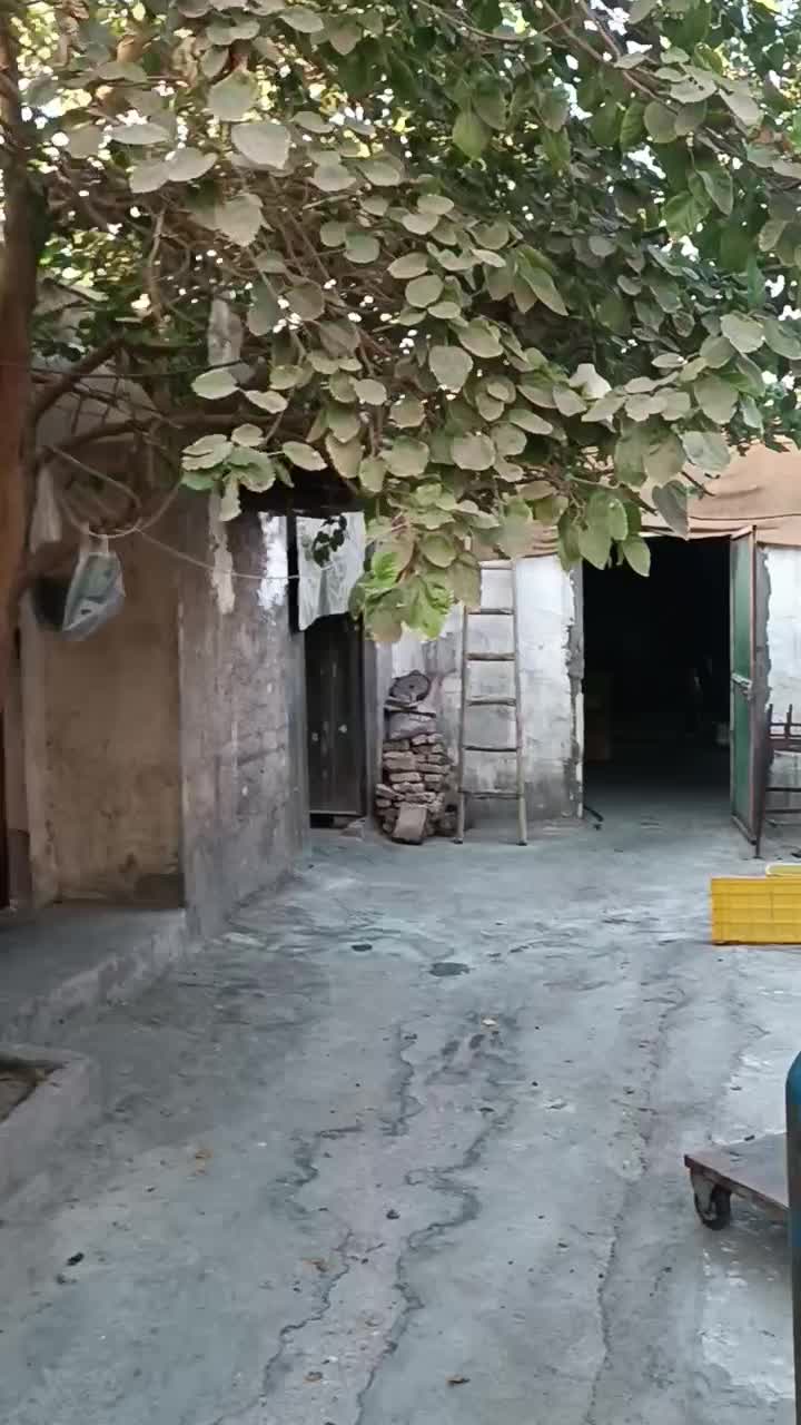 کارگاه 255متری.شهرک یبر*انتهای خیابان مخابرات*|فروش دفتر صنعتی، کشاورزی، تجاری|پاکدشت, پاکدشت (مامازند)|دیوار