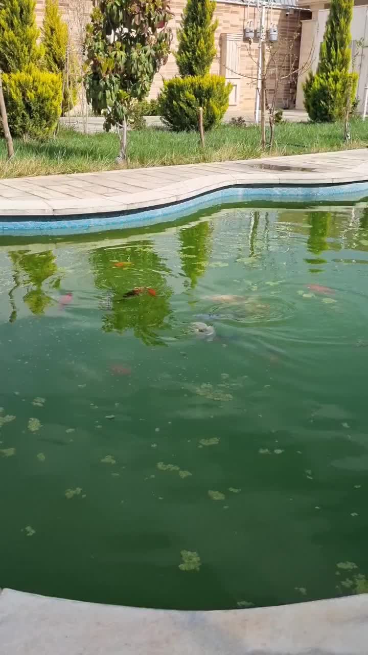 ماهی کوی|ماهی|اصفهان, بختیاردشت (شهرک پرتو)|دیوار