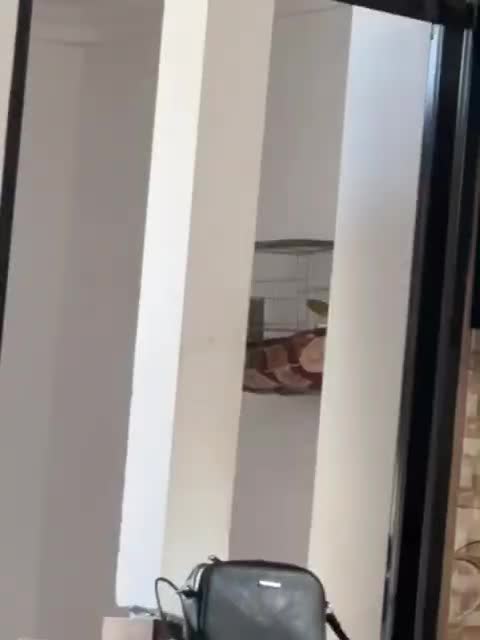 قناری نر سبز چمنی|پرنده|ششده و قره بلاغ, |دیوار