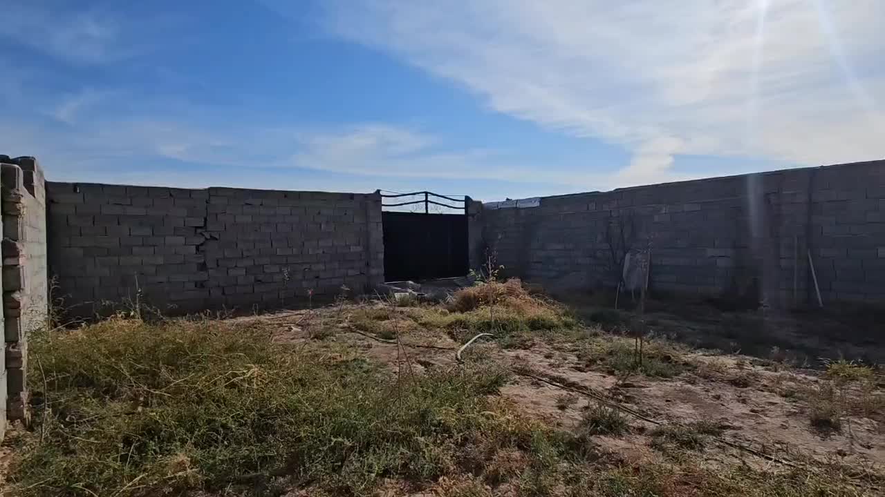 زمین باغ 304 متری حصار شده سند 6.دانگ بارانلو|فروش دفتر صنعتی، کشاورزی، تجاری|خسروشاه, |دیوار