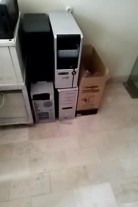 نصب ویندوز و خدمات کامپیوتری در محل (فوری)|خدمات رایانهای و موبایل|همدان, |دیوار