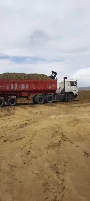 تریلی کود گاوی نیروی طلایی انفجار برداشت پسته|خدمات باغبانی و درختکاری|زرند, |دیوار