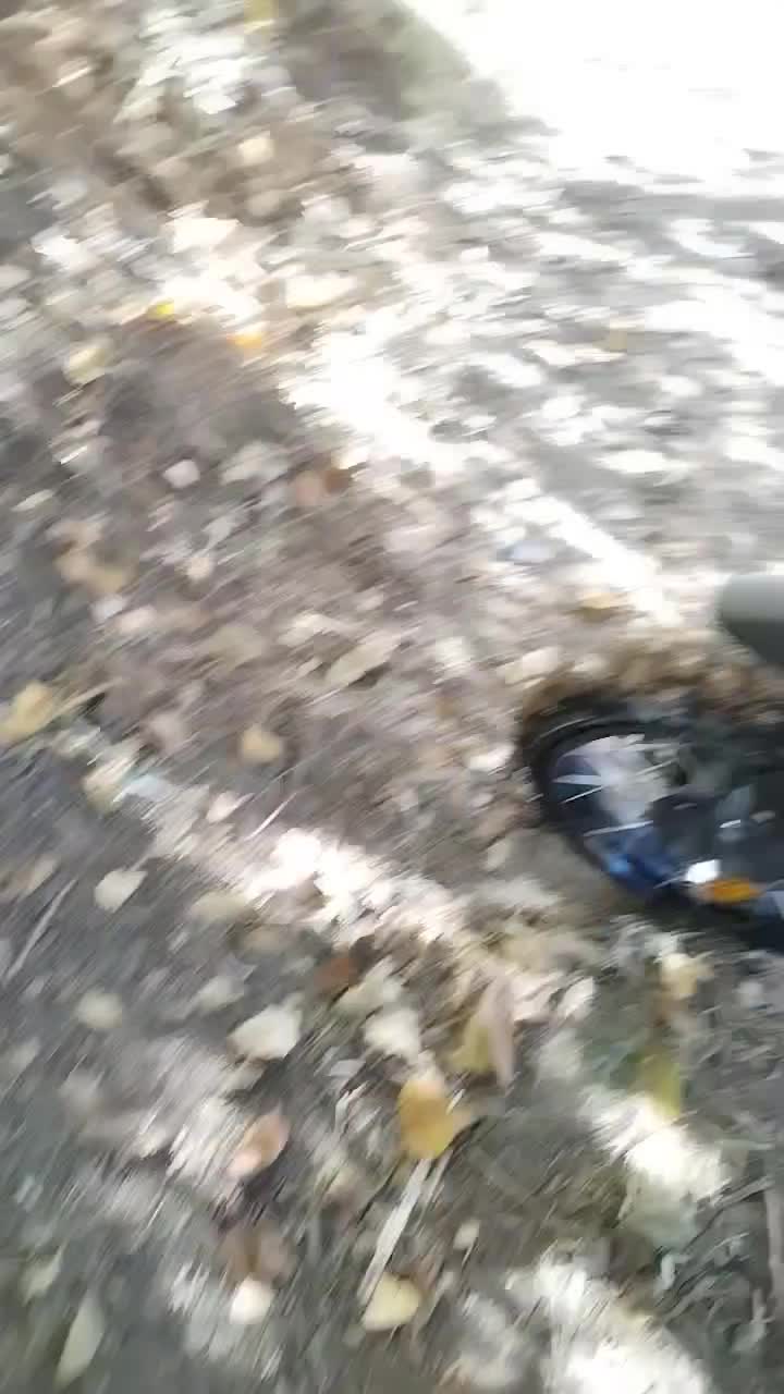 ماتور زونتس ۲۵۰z2۱۵۰ خودمون هست چهار سوپاپ|موتورسیکلت|مهاباد (آذربایجان غربی), |دیوار