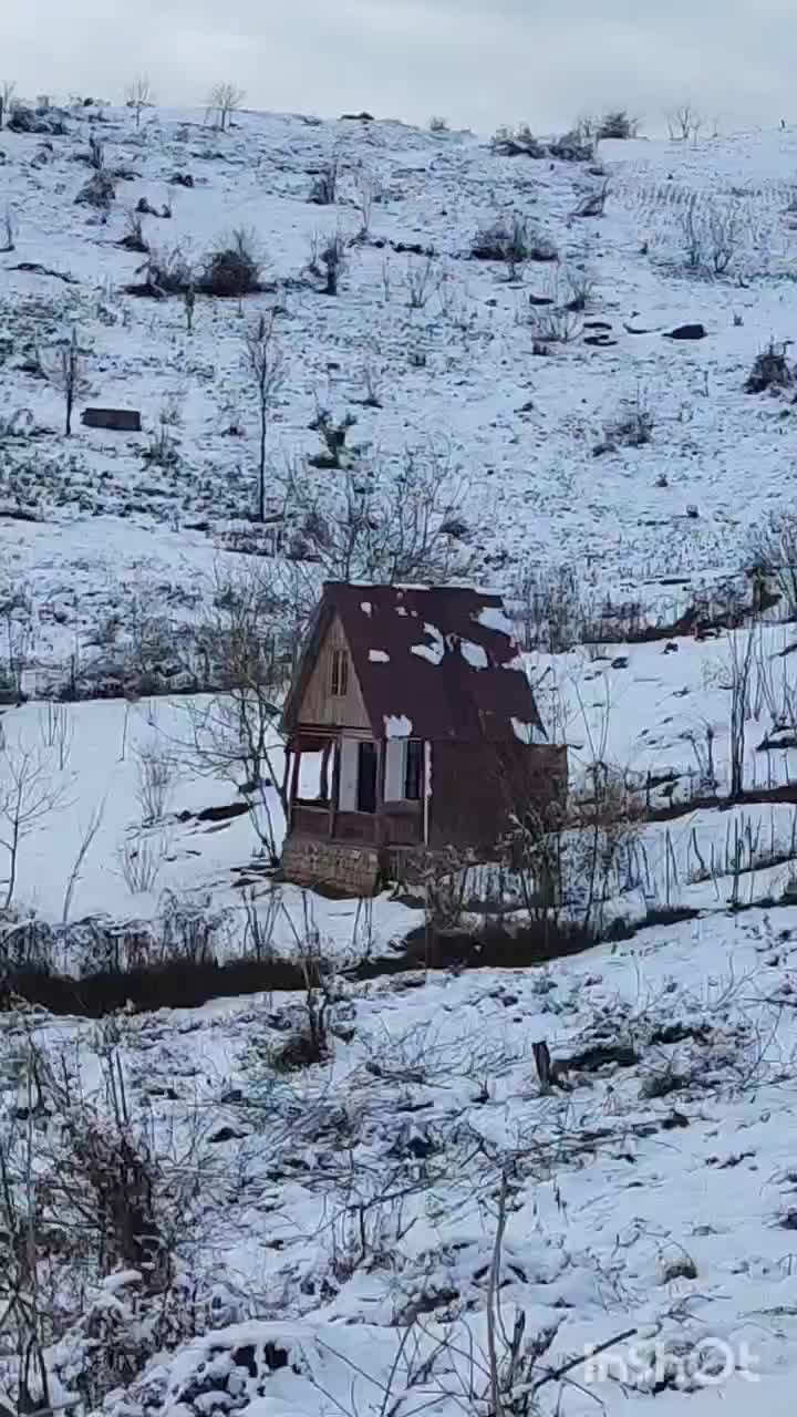 اجاره سالانه کلبه جنگلی|اجارهٔ خانه و ویلا|لاهیجان, لیل|دیوار