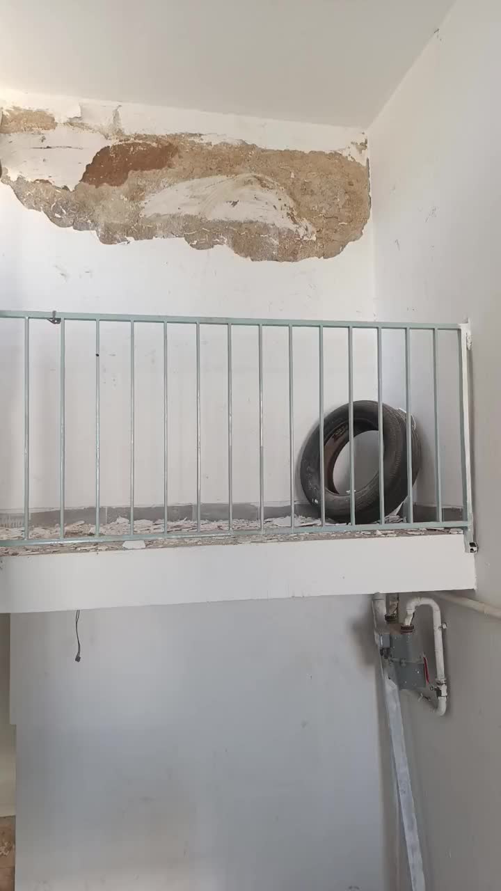 گچکاری وکناف کاری کلی وجزی|خدمات پیشه و مهارت|گلستان (تهران), |دیوار