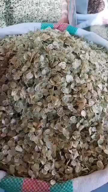 گلپر سبز درجه یک کوهرنگ فقط برگ خالص|عمدهفروشی|کوهرنگ, |دیوار