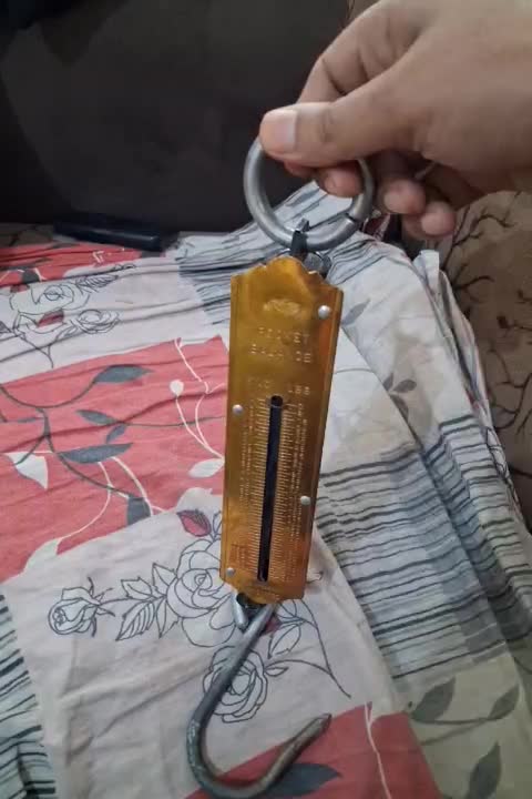 ترازو دستی|کلکسیون اشیاء عتیقه|گرگان, |دیوار