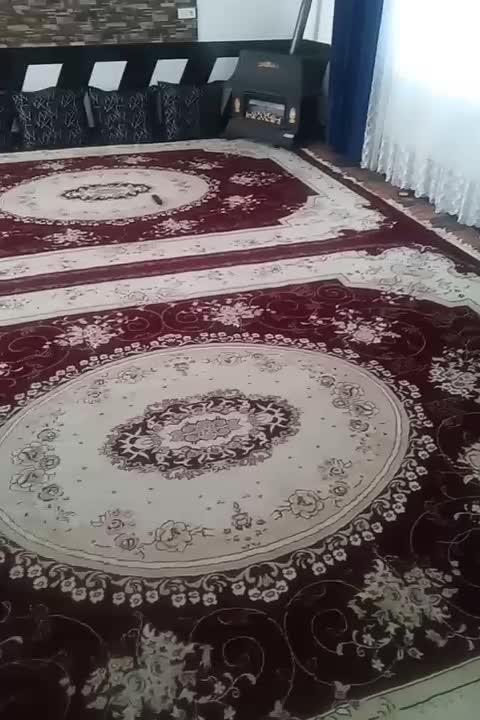 دوعدد فرش|فرش|میان ولایت, |دیوار