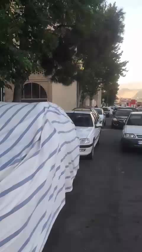 مغازه 28 متری بلوار رازی کوی زهرا خیابان نرجس|فروش مغازه و غرفه|شیراز, رازی|دیوار