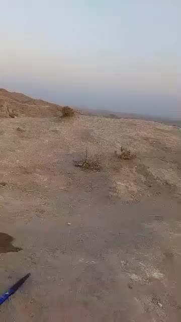 زمین مسکونی در صدرا شیراز|فروش زمین و ملک کلنگی|شنبه و طسوج, |دیوار