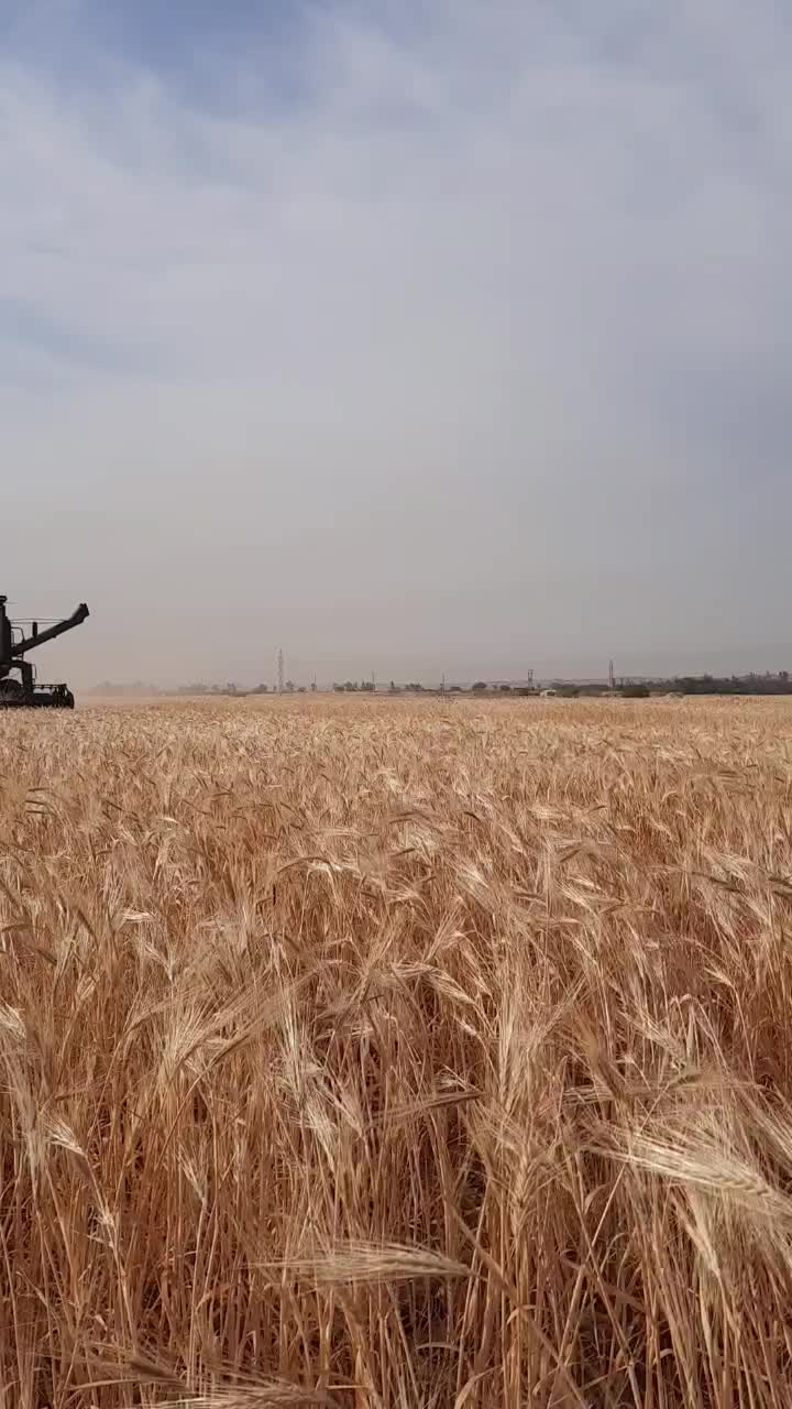 کمباین مدل ۹۴|خودرو سنگین|ایذه, |دیوار