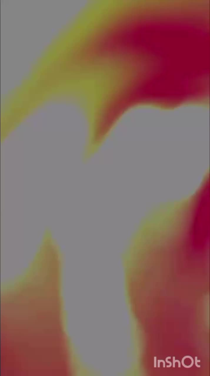 سفارش انواع دسته گل و باکس گل|گل مصنوعی|اهواز, نادری|دیوار