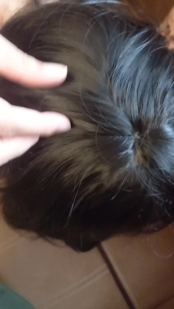 کلاه گیس|آرایشی، بهداشتی، درمانی|رشت, توشیبا|دیوار