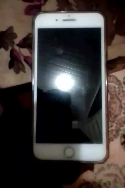 فروش|موبایل|لشت نشا, |دیوار