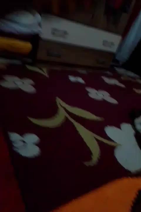 ساعت|ساعت|مشهد, بهمن|دیوار