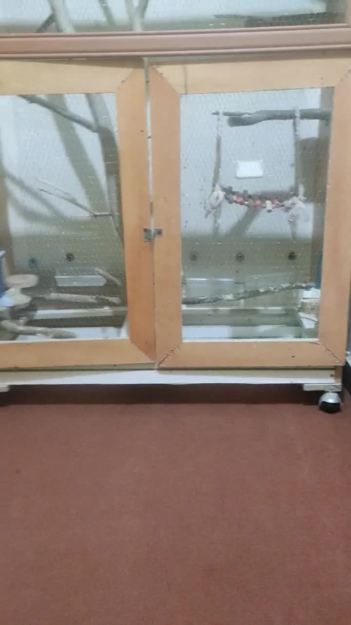 قفس پرنده دست ساز بزرگ|لوازم جانبی حیوانات|اهواز, کوی سعدی|دیوار