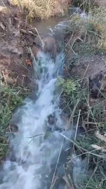 اجاره باغ انگوری وزمین کشاورزی|اجارهٔ دفتر صنعتی، کشاورزی، تجاری|ملایر, |دیوار