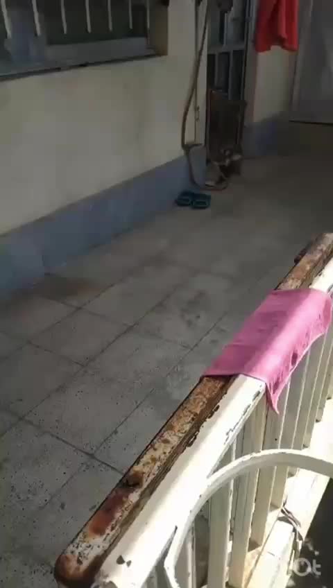 خانه اجاره ای اختراباد دوازده متری اول بوستان دوم|اجارهٔ خانه و ویلا|کرج, اخگرآباد|دیوار