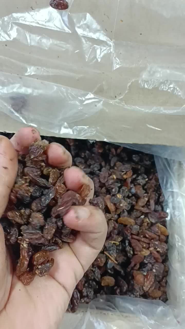 کشمش شیرین گله پاک شده و قیمت خوب|خوردنی و آشامیدنی|اصفهان, زهران|دیوار