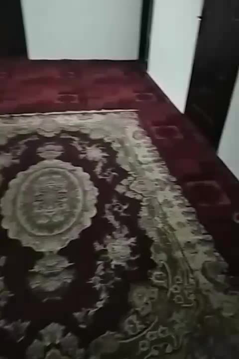 خوابگاه دانشجویان و مشاغل ، قیمت مناسب|اجارهٔ کوتاه‌مدت آپارتمان و سوئیت|مشهد, آیت الله کاشانی|دیوار