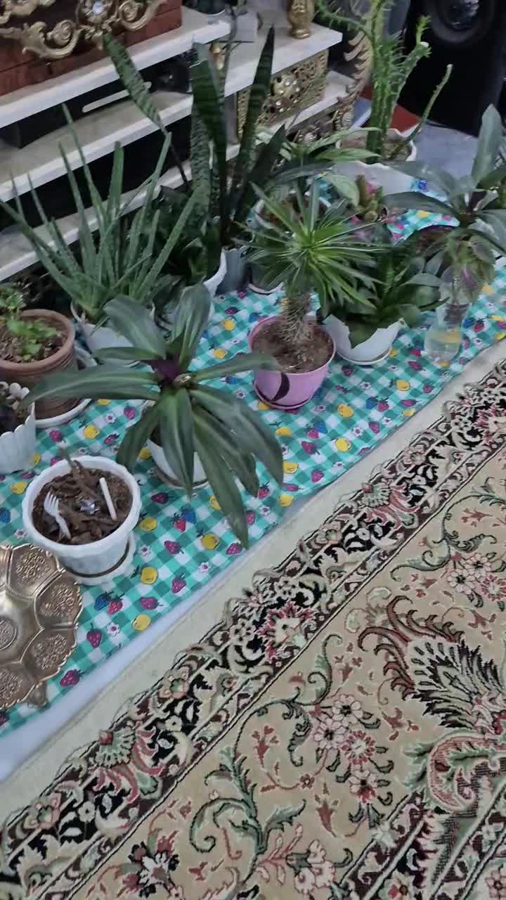 اجاره روزانه اپارتمان کاوه فلاطوری|اجارهٔ کوتاه‌مدت آپارتمان و سوئیت|اصفهان, شاه پسند|دیوار