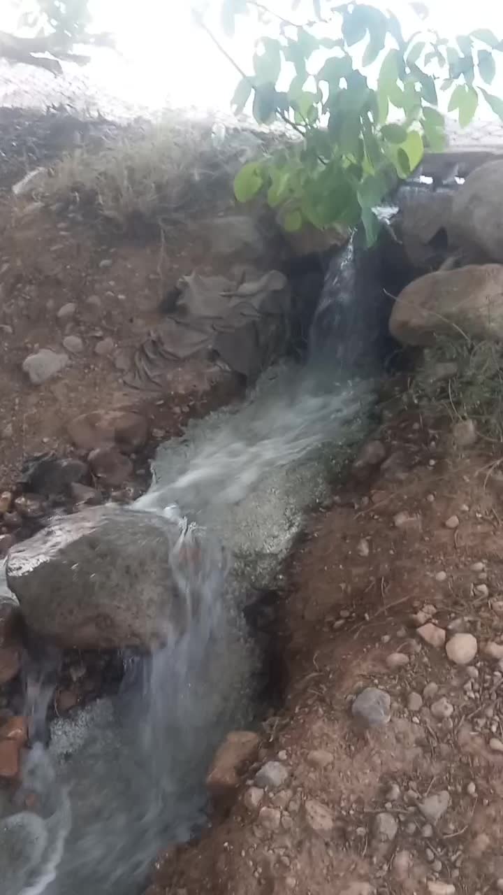 فروش زمین|فروش زمین و ملک کلنگی|پاتاوه, |دیوار