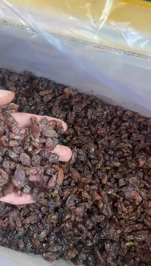 کشمش عنابی درجه یک|خوردنی و آشامیدنی|میانه, |دیوار