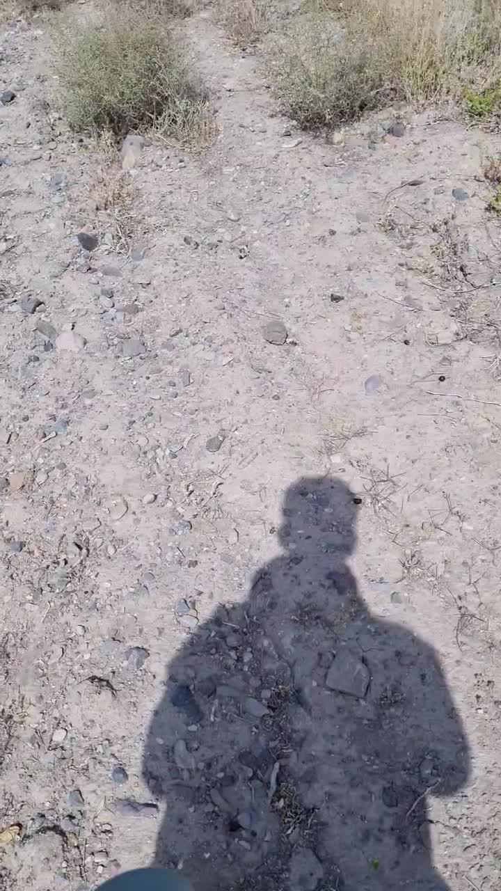 فروش زمین باغی تقاب|فروش دفتر صنعتی، کشاورزی، تجاری|خوسف, |دیوار