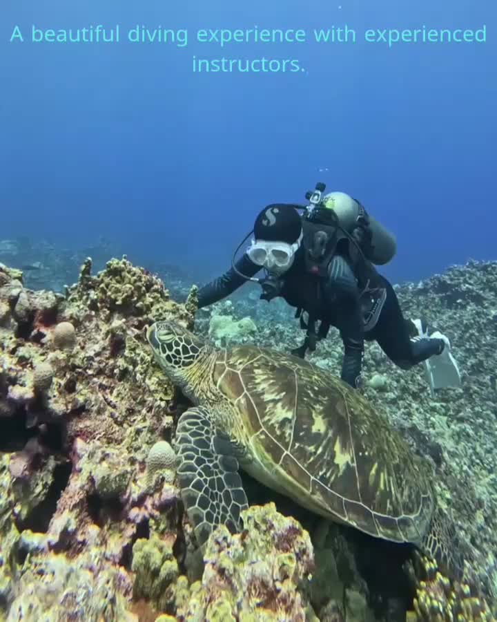 وتسوت شکار نو آکبند دوتکه|لباس|کیش, |دیوار