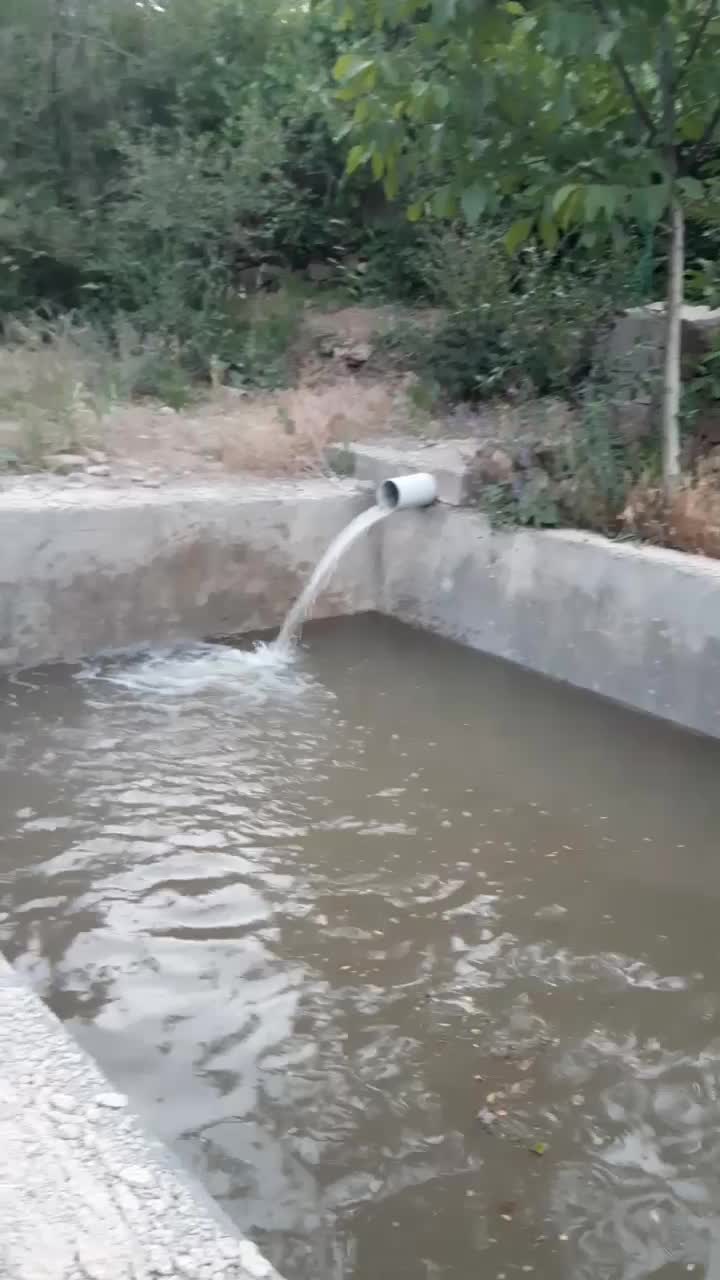 میگون باغ فروشی|فروش زمین و ملک کلنگی|فشم, |دیوار