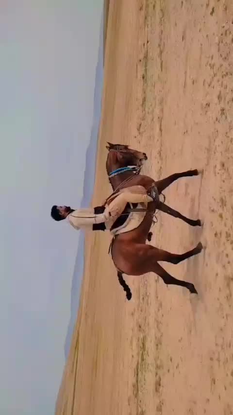 اسب|اسب و تجهیزات اسب‌سواری|مشهد, بهار|دیوار