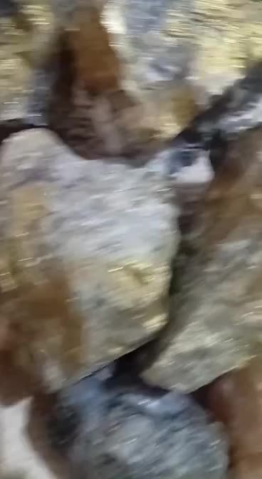 طلا اصلی درسنک|جواهرات|بندرعباس, |دیوار