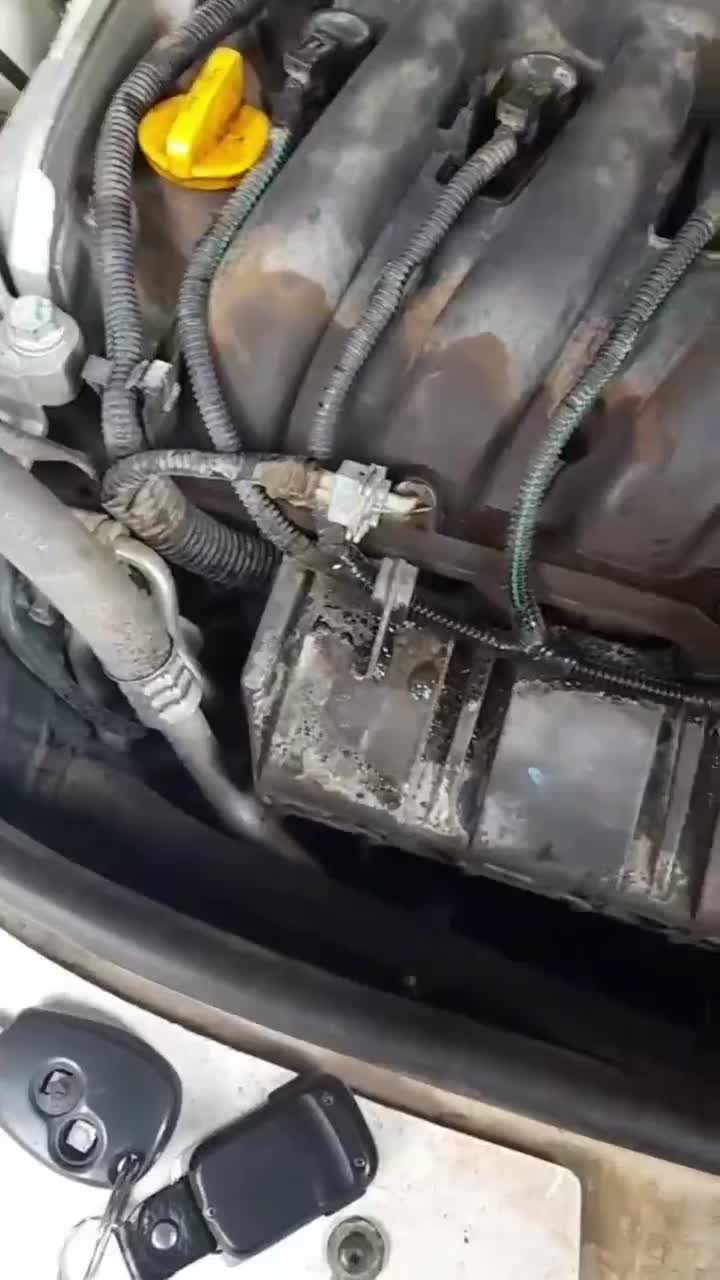 نمایندگی رسمی نانو رخش اصلی|لوازم نظافت|مریوان, |دیوار