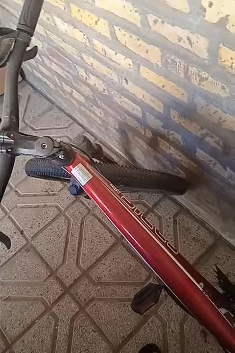 دوچرخه ۲۴|دوچرخه، اسکیت، اسکوتر|کاخک, |دیوار