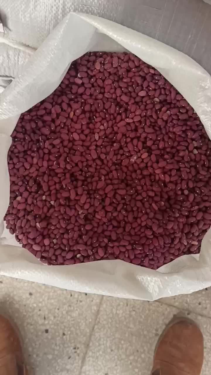 لوبیا قرمز|خوردنی و آشامیدنی|حسن آباد, |دیوار