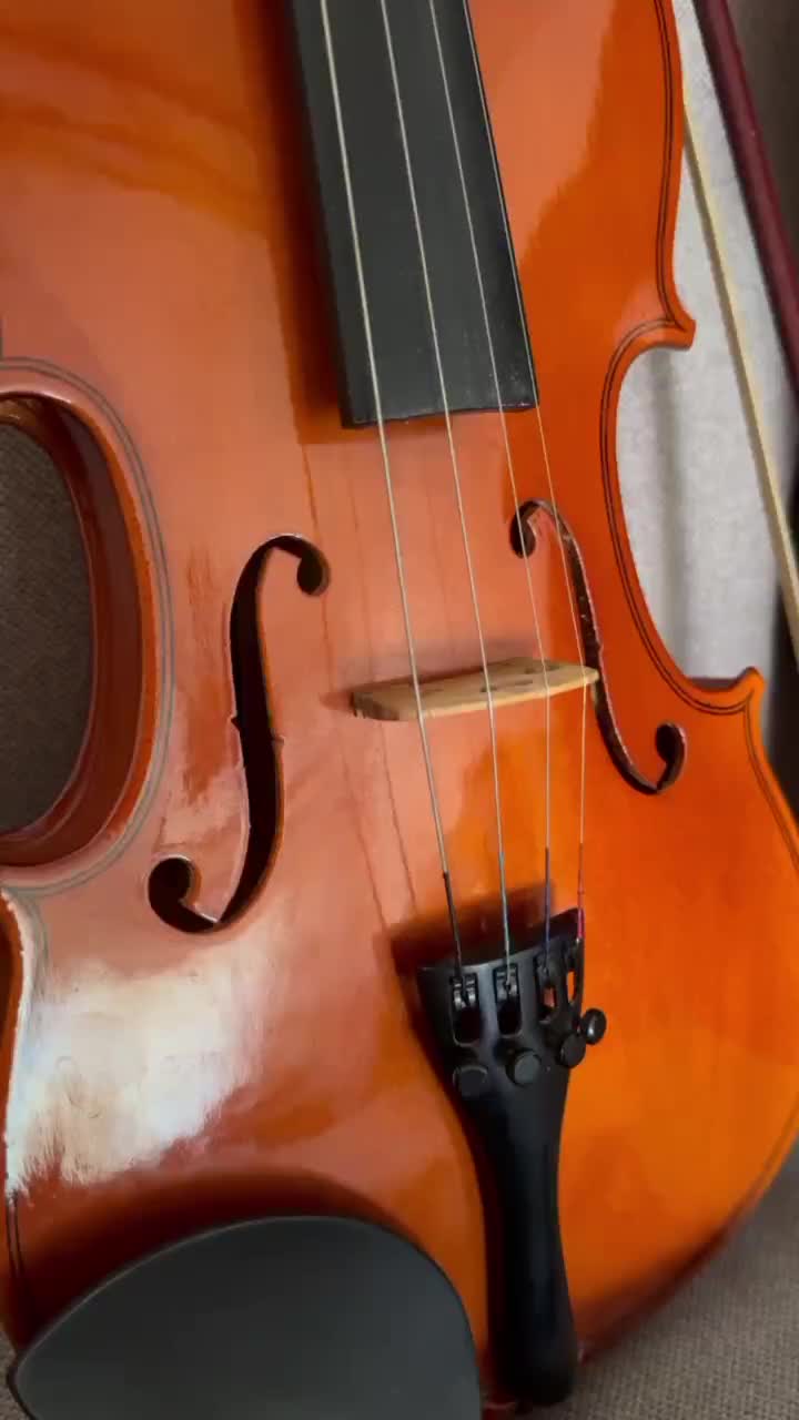 ویولن TF تی اف ۱۴۲ ۴/۴|ویولن|گرگان, |دیوار