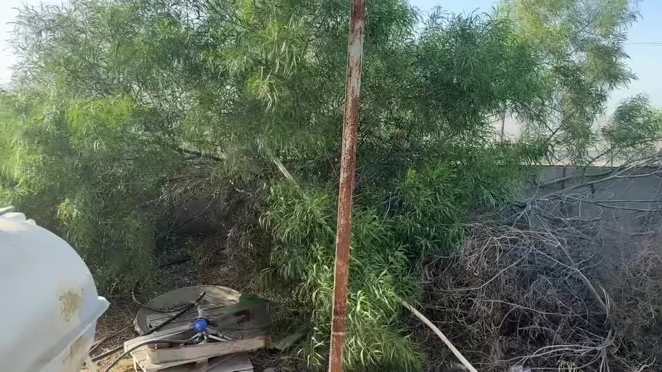 اجاره سوله در 5 کیلومتری کنارک روستای ساحلی پزم|اجارهٔ دفتر صنعتی، کشاورزی، تجاری|کنارک, |دیوار