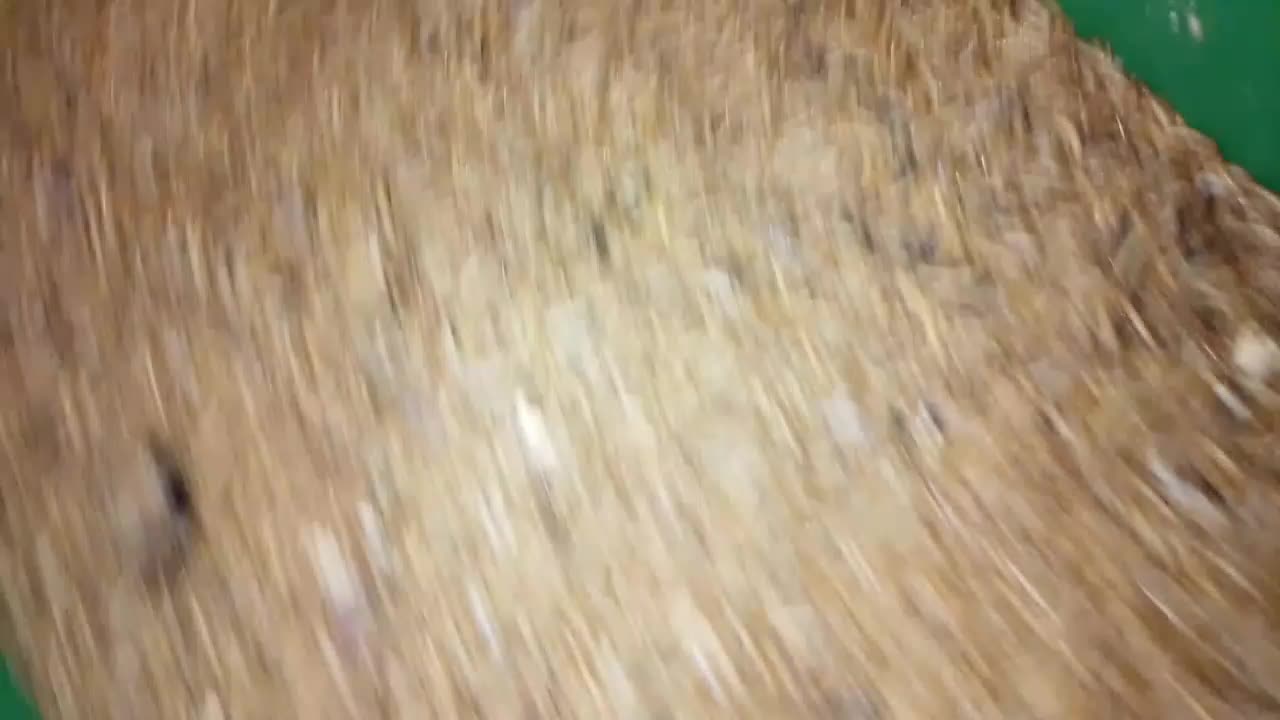 میلورم|خزنده|شهریار, شهرک امیریه|دیوار