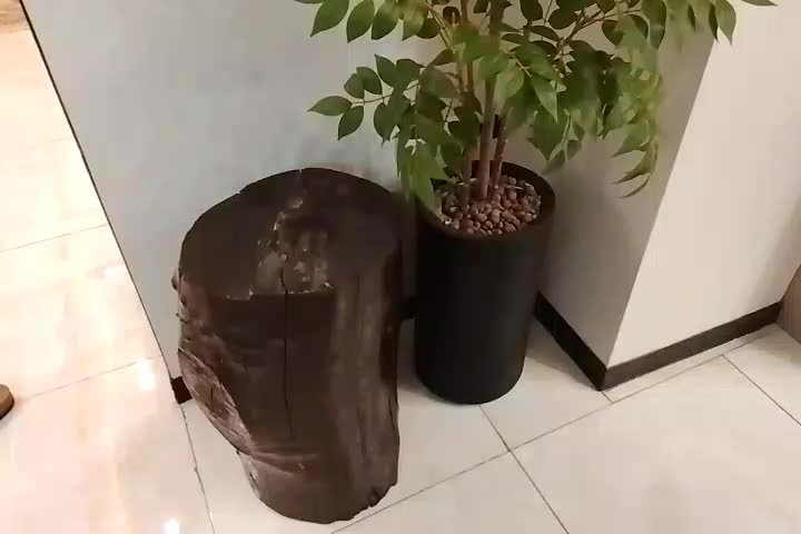 تنه درخت چوبی|صنایع دستی و سایر لوازم تزئینی|کرج, فاز ۴ مهرشهر|دیوار